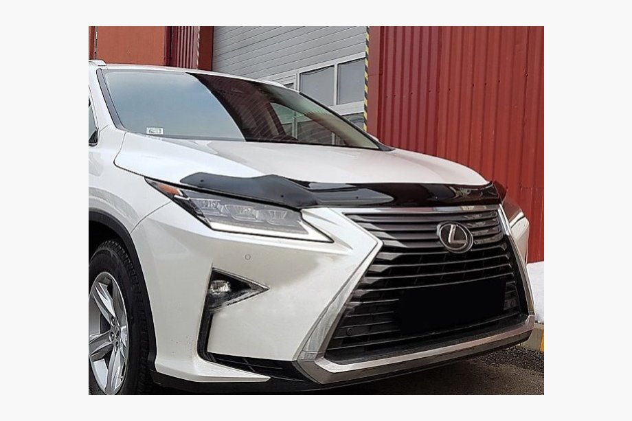 Lexus RX 2016-2022 Motorhaubenschutz (SIM) Image