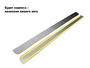 Citroen Jumpy 2007–2017 Heckstoßstangenabdeckung Natanika (Edelstahl) Foto 1