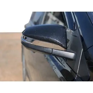 Spiegelabdeckungen (2 Stk, Edelstahl)