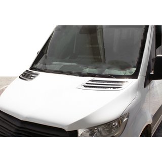 Lufteinlass Abdeckungen Carmos (2 Stk., Edelstahl) Foto 1