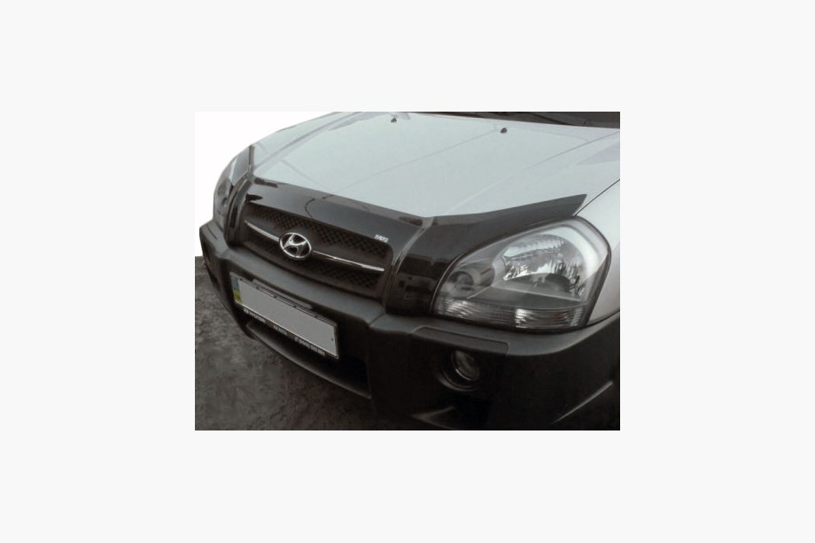 Hyundai Tucson JM 2004- Motorhaubenschutz FLY Image