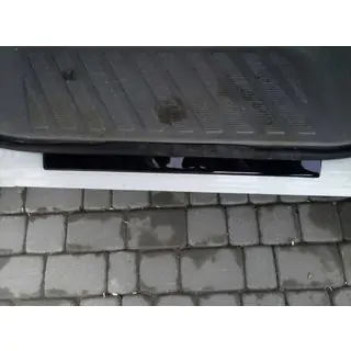 Einstiegsleisten DDU (2 Stk) Foto 3