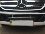 Mercedes Sprinter W906 2006–2018 Stoßstangengrill (Edelstahl) Foto 2