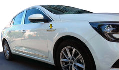 Renault Megane IV 2016-2025 Kotflügelverkleidung 2016-2020 (Edelstahl) Foto 1