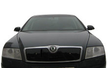 Skoda Octavia II A5 2006-2010 Winterabdeckung für Kühlergrill (oben) Matt Foto 4