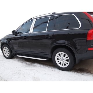 Seitenschweller BlackLine (2 Stk., Aluminium) Foto 1