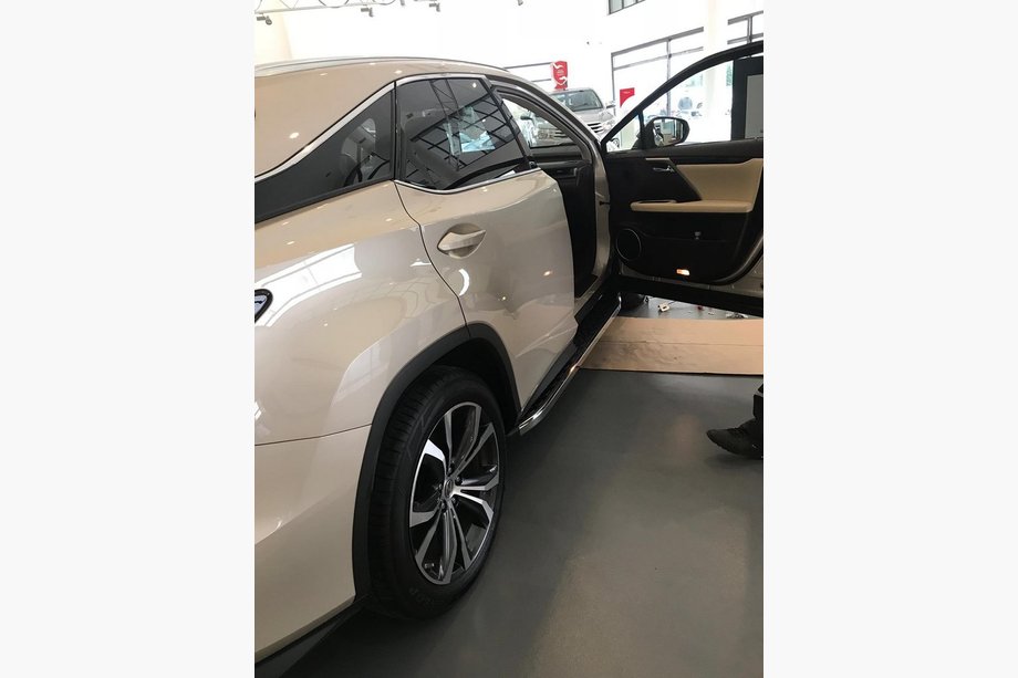 Lexus RX 2016-2022 Trittbretter BlackLine (2 Stk) Image