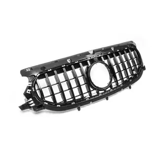 Frontgrill Panamericana GT Foto 3