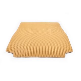 Kofferraummatte (EVA, Beige) BMW X5 E53 1999–2006 Foto 1