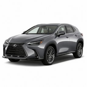 Lexus NX 2022- Tuning