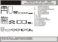 Peugeot 307 2001-2008 Innenraum Tuning (Hartman) Carbon Foto 1