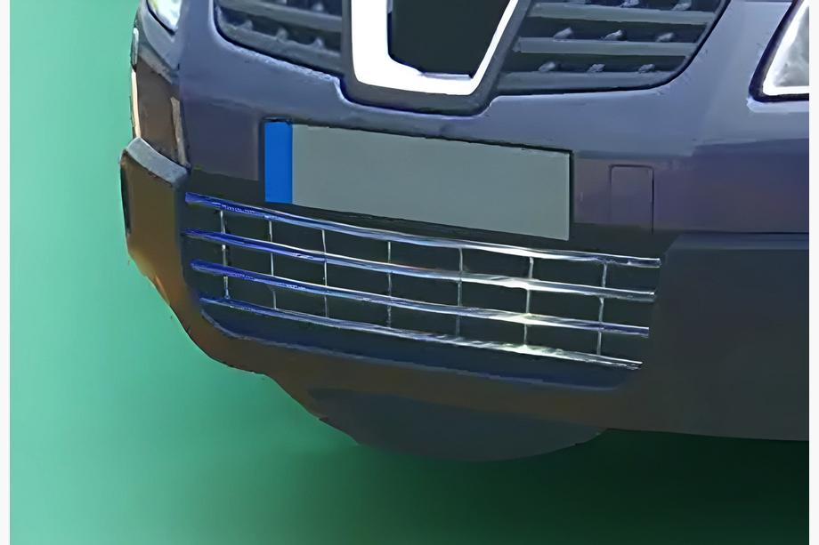 Nissan Qashqai 2007-2010 Stoßstangengitter (Edelstahl) Image