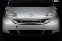 Smart 2007-2014 Frontschutzgitter Foto 1