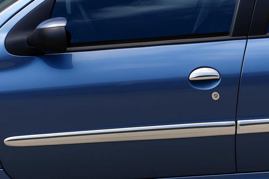 Peugeot 206 1998-2024 Türleisten Edelstahl (4 Stk) Image