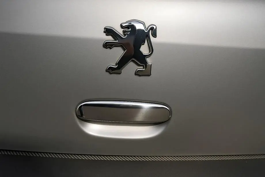 Peugeot 307 2001-2008 Chrom Heckklappengriff Abdeckung (Edelstahl) Image