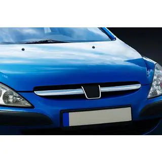 Chrom Kühlergrill Blenden (2001-2005, 2 Stk, Edelstahl) Peugeot 307 2001-2008 Foto 1