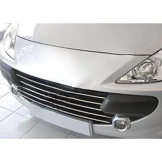 Chrom Kühlergrill Abdeckung (2005-2008, 5 Stück, Edelstahl) Peugeot 307 2001-2008 Foto 1