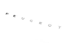 Peugeot Partner 1996-2008 Schriftzug Peugeot (630mm x 25mm) Foto 2