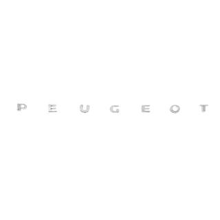 Schriftzug Peugeot (630mm x 25mm) Foto 1