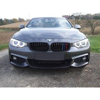 Zierleisten für Kühlergrill F36 (3 Stück) BMW 4 Series F32/F33/F36 2012-2020 Foto 1