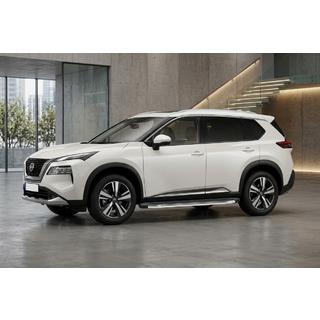 Seitenschweller BlackLine (2 Stk., Aluminium) Foto 1