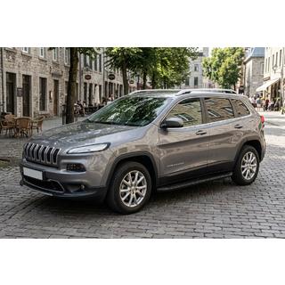 Seitenschweller Tayga Black (2 Stk., Aluminium) Foto 1
