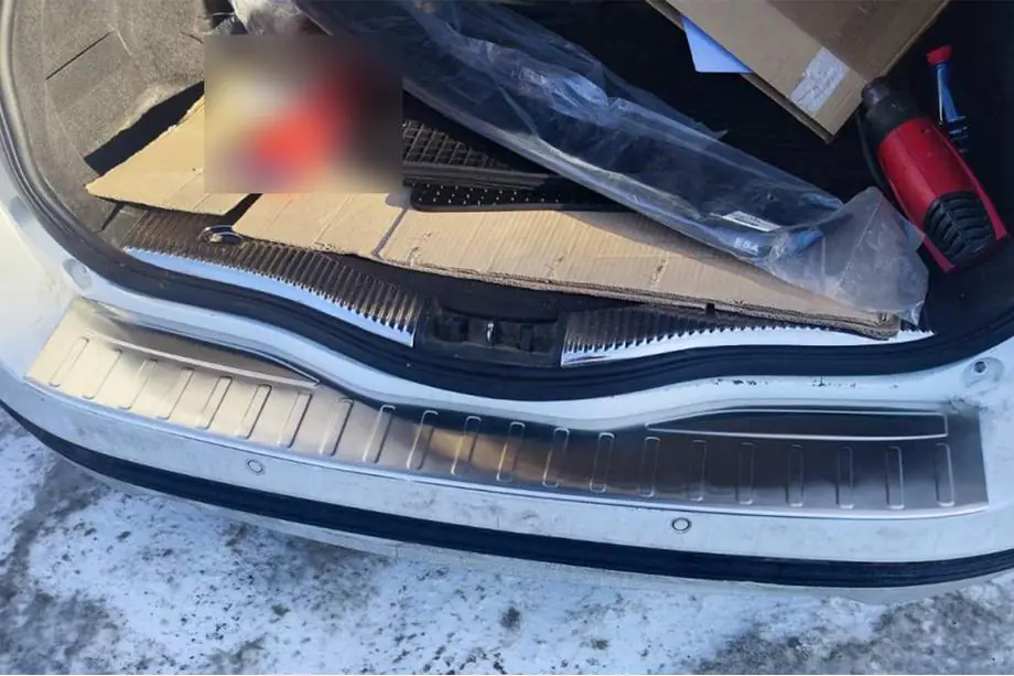 Ford Mondeo 2014-2022 Heckstoßstangenschutz Carmos (SW, Edelstahl) Image