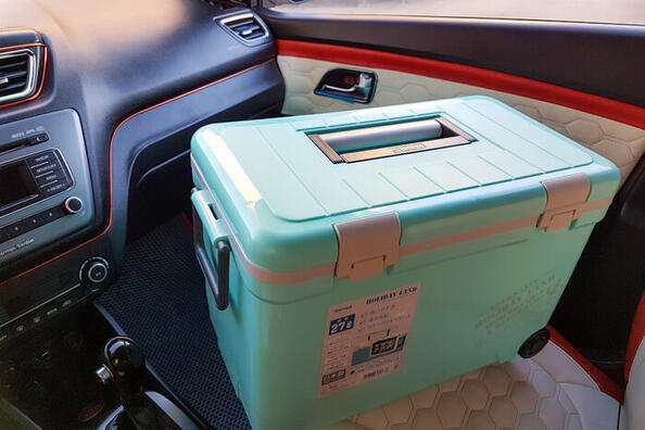 Thermobox im Auto: ein unverzichtbarer Helfer für unterwegs