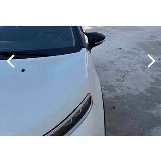 Spiegelabdeckungen BMW-Style (2017-2021, 2 Stk) Citroen Cactus 2014-2020 Foto 2