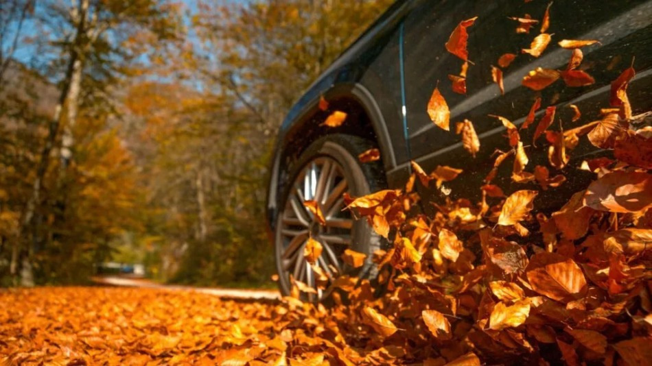 Fünf Fehler, die im Herbst zu einem Unfall im Straßenverkehr führen können
