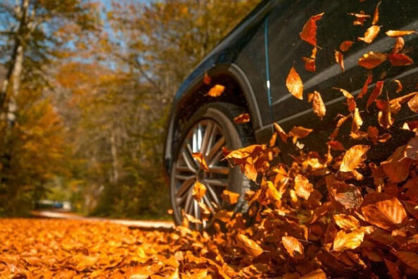 Fünf Fehler, die im Herbst zu einem Unfall im Straßenverkehr führen können Foto 1