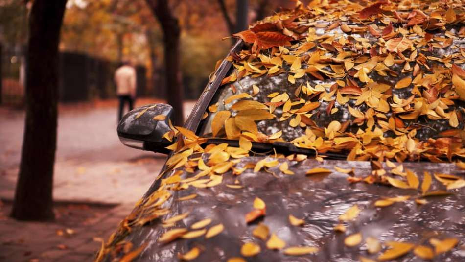 Wie pflegt man ein Auto im Herbst?