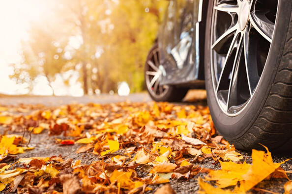 Welche Reifen eignen sich am besten für den Herbst?