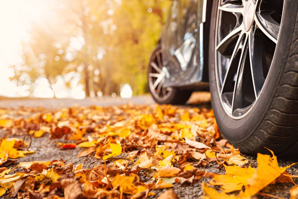 Welche Reifen eignen sich am besten für den Herbst?