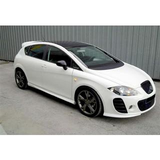 Seitenschweller DPT (zum Lackieren) Seat Leon 2005-2012 Foto 2