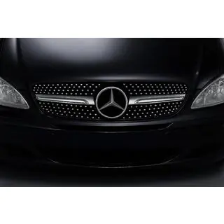 Frontgrill Diamond Silber (2004-2010) Foto 2