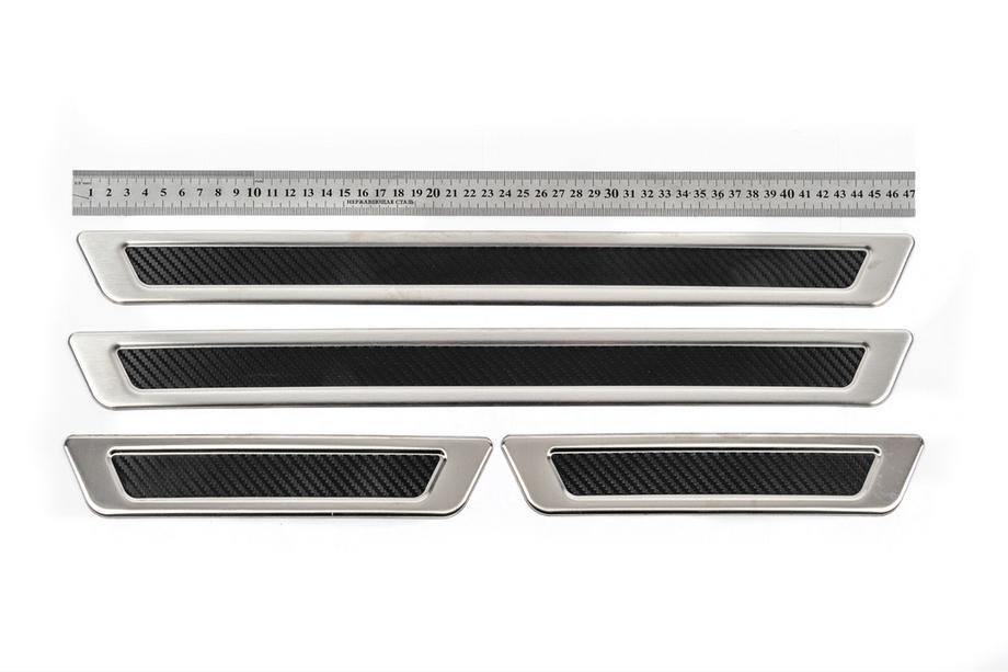 Universelle Einstiegsleisten Carbon (4 Stk., Edelstahl) Image