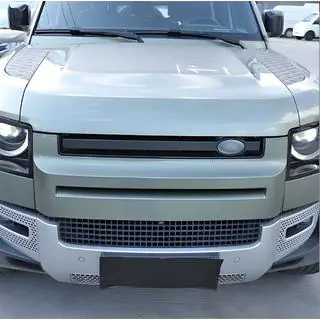 Grille Einsatz