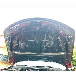 Motorhaube V2 (Carbon) Foto 2