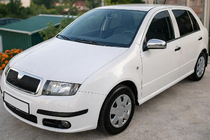 Skoda Fabia 2000-2007 Spiegelabdeckungen 2006↗ (2 Stk, Edelstahl) Foto 1