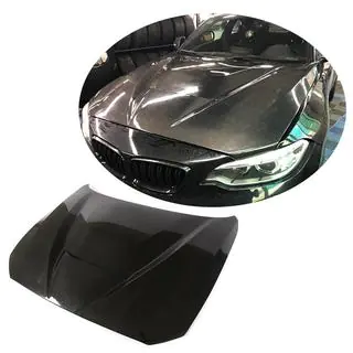 Motorhaube V1 (Carbon) Foto 1