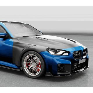 Nieren (für G87, Carbon) Foto 2