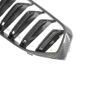 M-Look V1 Nieren (2020-2023, Carbon) Foto 4