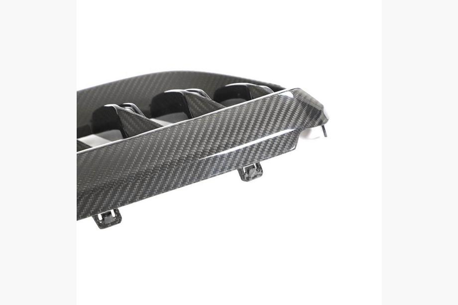 BMW 6 Series G32 2017- M-Look V1 Nieren (2020-2023, Carbon) Foto 6