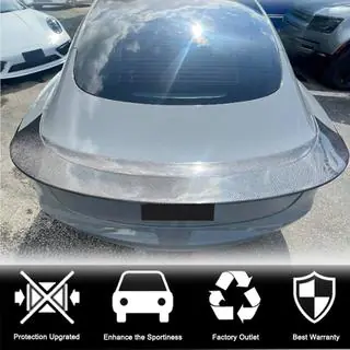 Spoiler V9 (2017-2023, Carbon) Foto 2