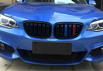 BMW 2 Series F22/F23 2014-2021 Nieren M-Look (M-Color) Foto 3