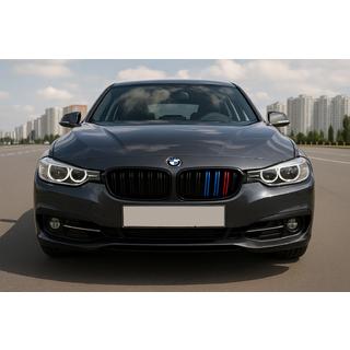 Nieren M-Look (für F34, M-Color) BMW 3 Series F34 2013–2020 Foto 1
