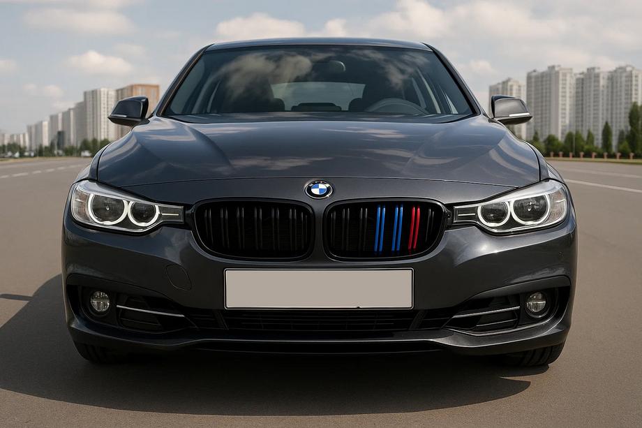 BMW 3 Series F34 2013–2020 Nieren M-Look (für F34, M-Color) Foto 1