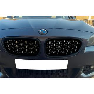 Diamond Silver Nieren (schwarzer Rand) BMW 5 Series F10/F11 2010–2016 Foto 1