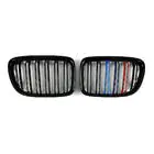BMW X1 E84 2009-2015 Nieren M-Look (M-Color) Foto 2